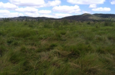 Fazenda para venda em Diamantina